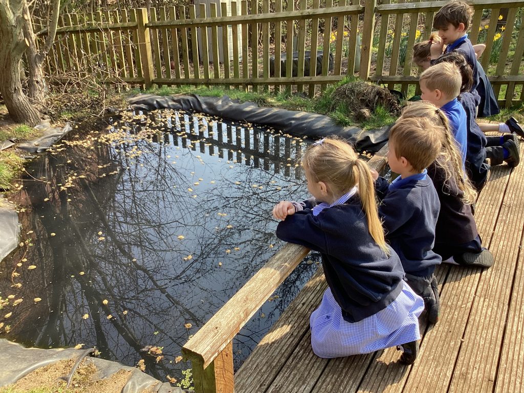 25th March – Hunting for frogspawn!